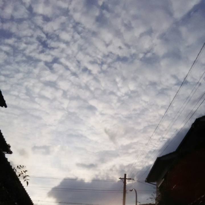 B8e08985 f6fb 4a6c 824a 35a5e17ba9a0
