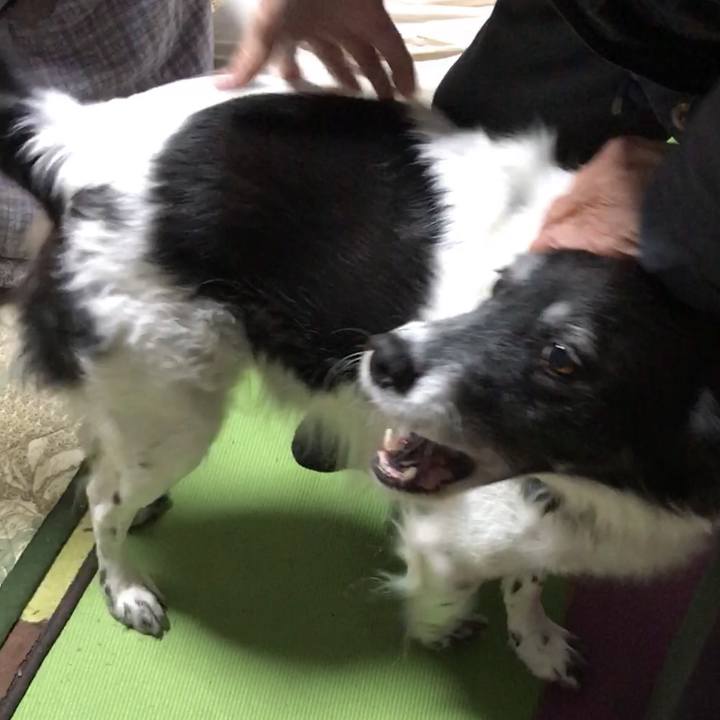 B8e093bf 6ac9 4c25 84d4 850e926405f4