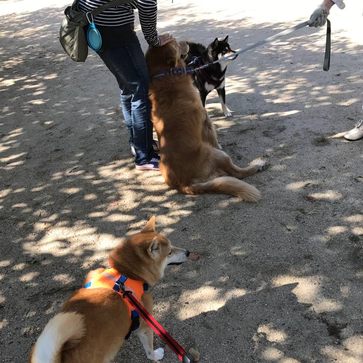 B8e0a2bc afa4 4629 add2 f2fdb2f698f9