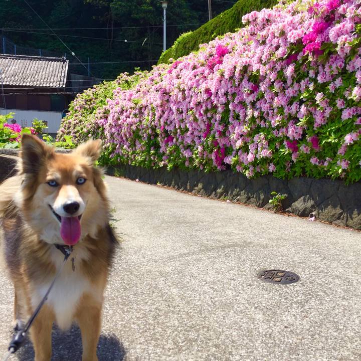 B8e0b10d bb21 4340 a36d 27137955495d