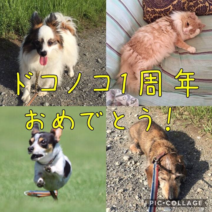 B8e1058c 82ec 429f b47c 28c83c60d1ee