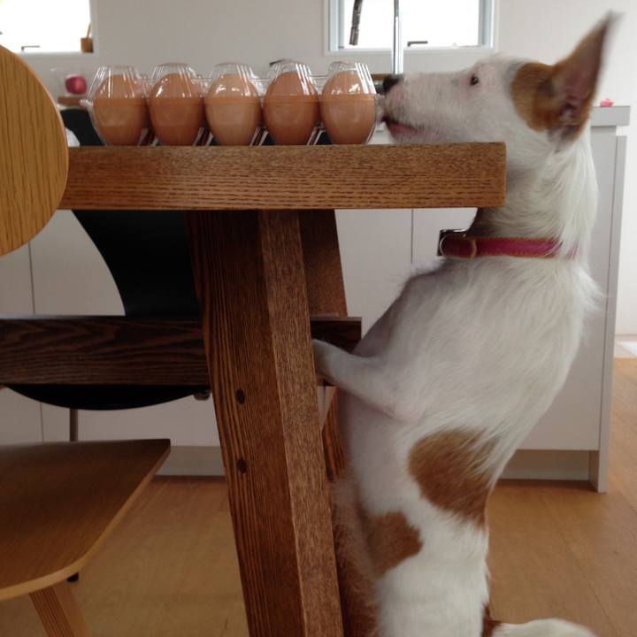 B8e10826 421a 4a34 bc82 d31525fc72b5