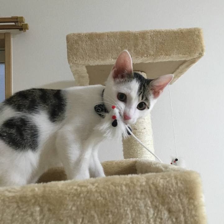 B8e11917 ef60 402d 8c1f 86afbf7d048a