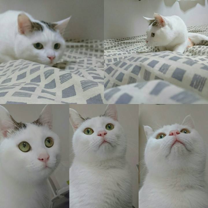 B8e1ccc9 7912 4cc9 b87a c24ba2636a5b