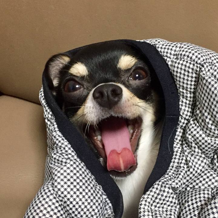 B8e23946 2219 46e3 aad8 2d86d14e8a67