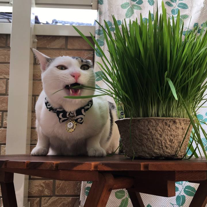 B8e26493 3289 4ce8 b3a1 29af82a4464c