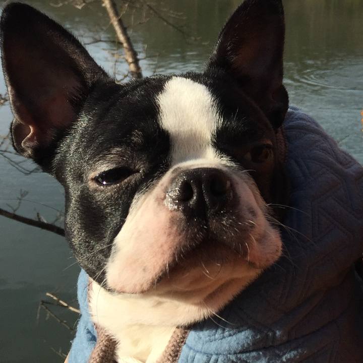 B8e28041 fbcb 47ec 9e48 e046c9fa7537