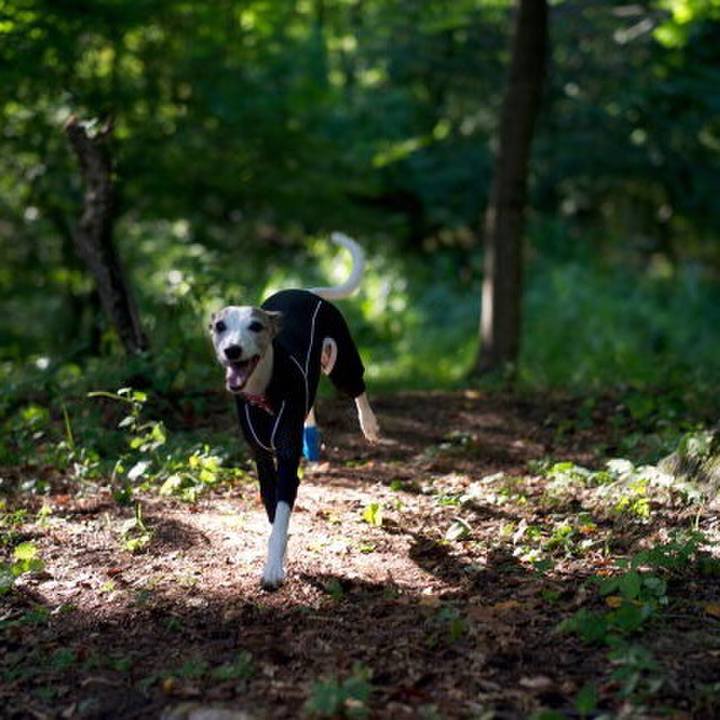 B8e28f7b cf93 4989 a6e9 28311a85f87a