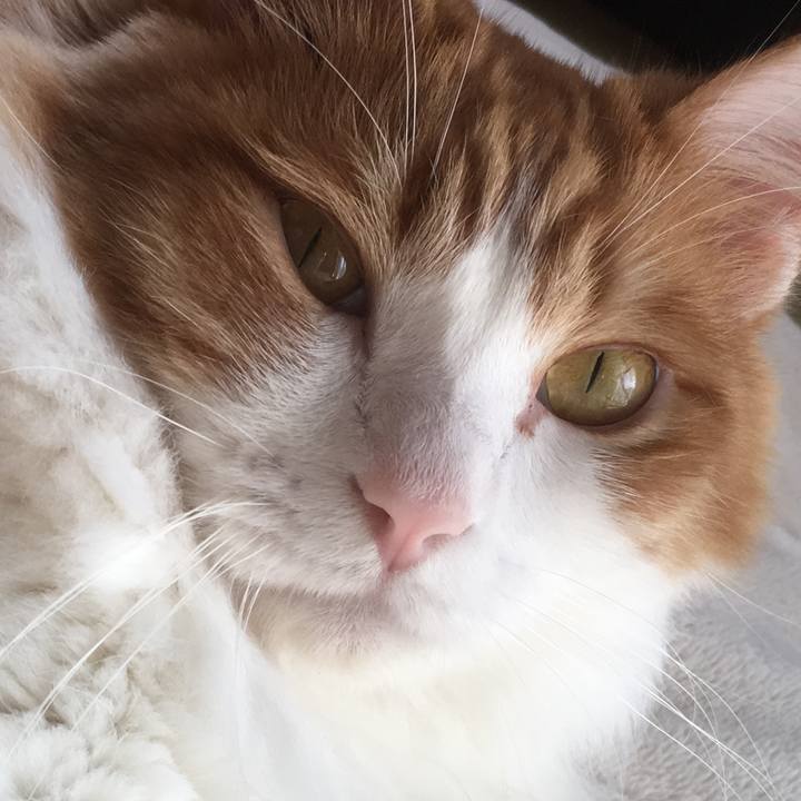 B8e2d625 5399 412b be96 02c9189182c3