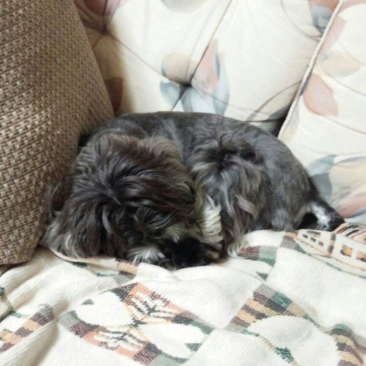 B8e2ef14 6579 4644 8f55 a7a714e424b9