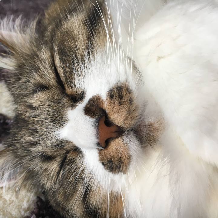 B8e326d0 759d 4b21 9369 f5e9e88cebb4