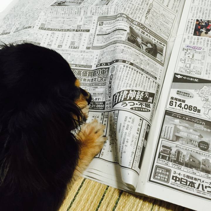 B8e3a41c d224 46b9 ba58 77ff609765b4