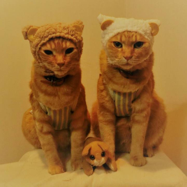 B8e3ee9f 91a6 4b8c 856d 8981e992d07f