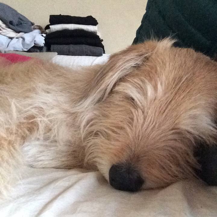 B8e4169d 61b1 4799 b6f5 6d73b7bba373