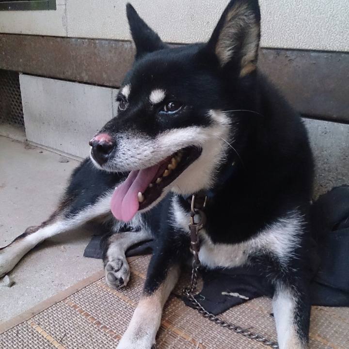 B8e48106 ecad 426d abb3 4f4cc935683d