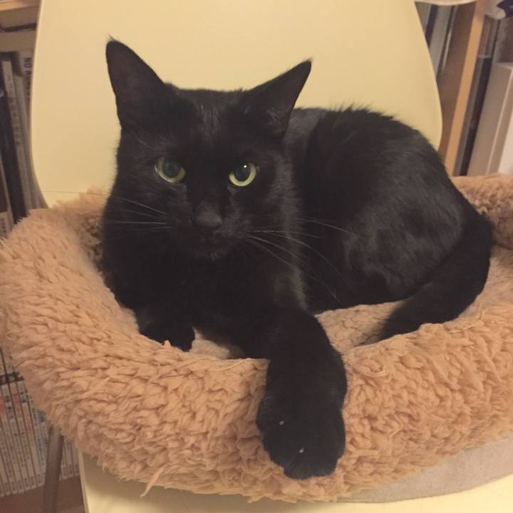 B8e57b95 4645 4537 9e16 12050ca6cdaa