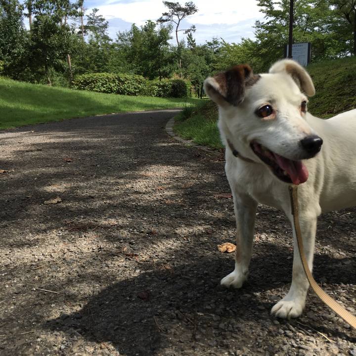 B8e59a04 19e5 4f37 a378 d5b59e0ad1da