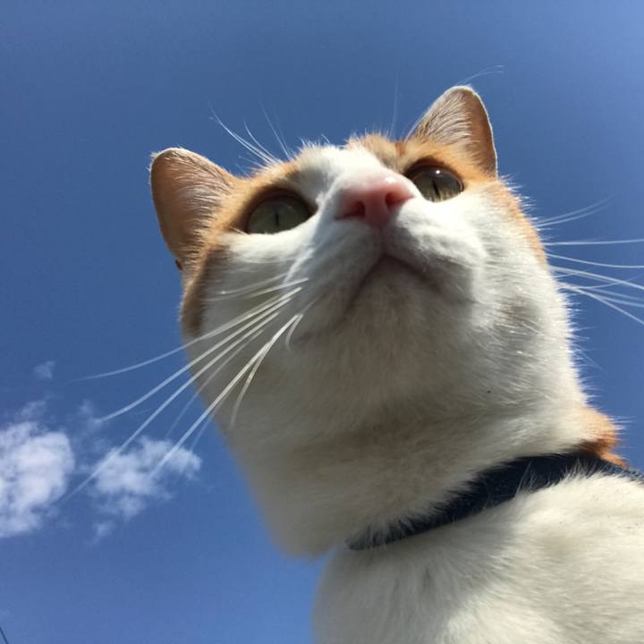 B8e5a05d d9b8 44b8 8a33 9da522b5688e