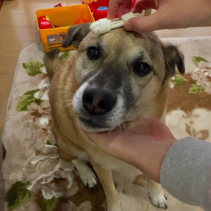 B8e5c9f0 0c31 430e a55e e6db9105bda2