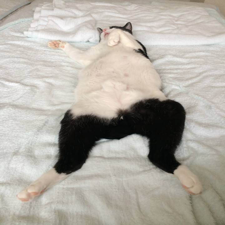 B8e601c4 145d 4039 8632 7bc4d013b3a1