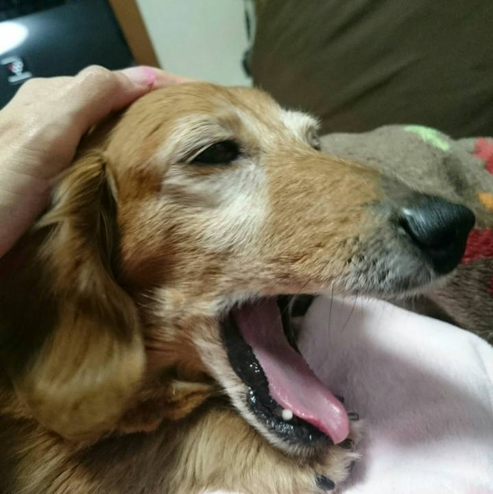 B8e61227 33e0 44b1 ac43 5e847a464c0d