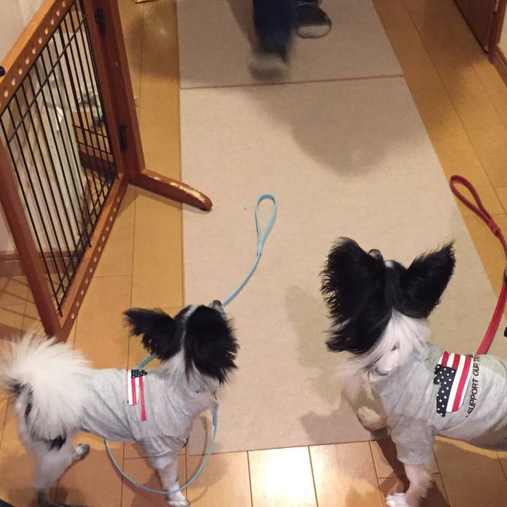 B8e63c0e 8a14 4ce5 b74d f5bc679eecd2