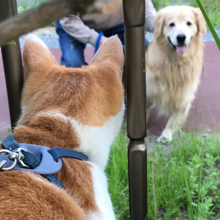 B8e63eb9 d789 42d5 98c2 6c1b2182b986