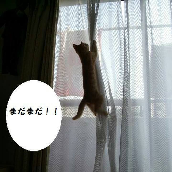 B8e661c1 3e6b 4bee 9568 e571a62077e4