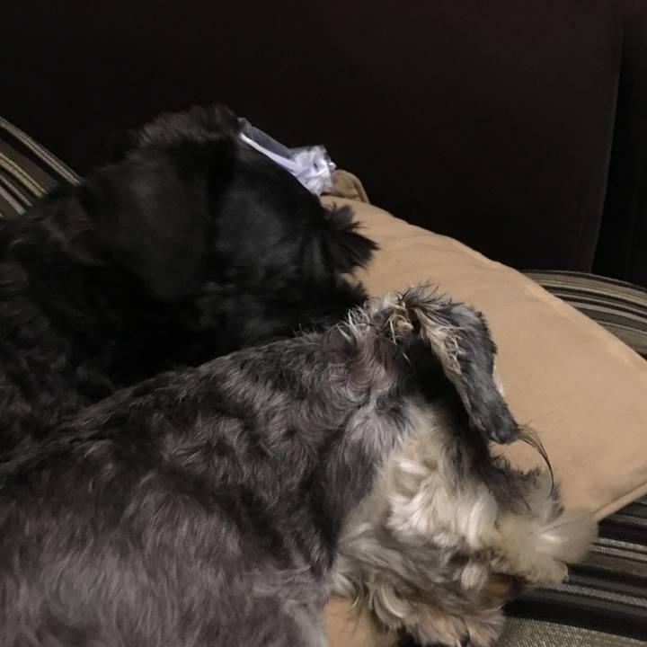 B8e6b251 70ed 4fa8 808d a11804717121