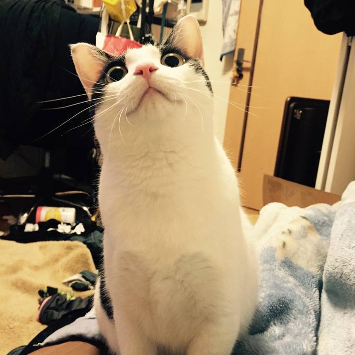 B8e6c0e3 f231 4f4d 9638 0328f17d13eb