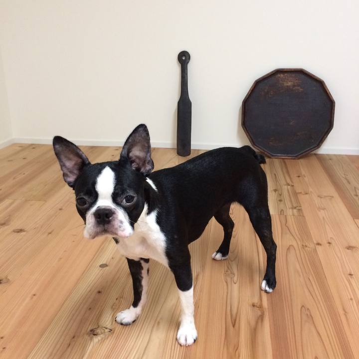 B8e765e1 e444 4a43 929c d80159a7686f