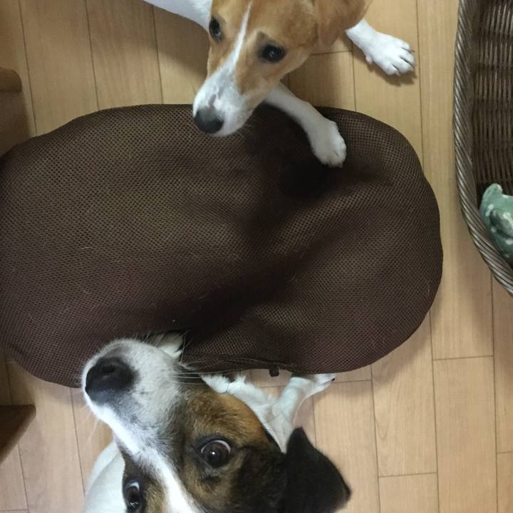 B8e79997 4ce4 4f9c 93ca a20b60e3f874