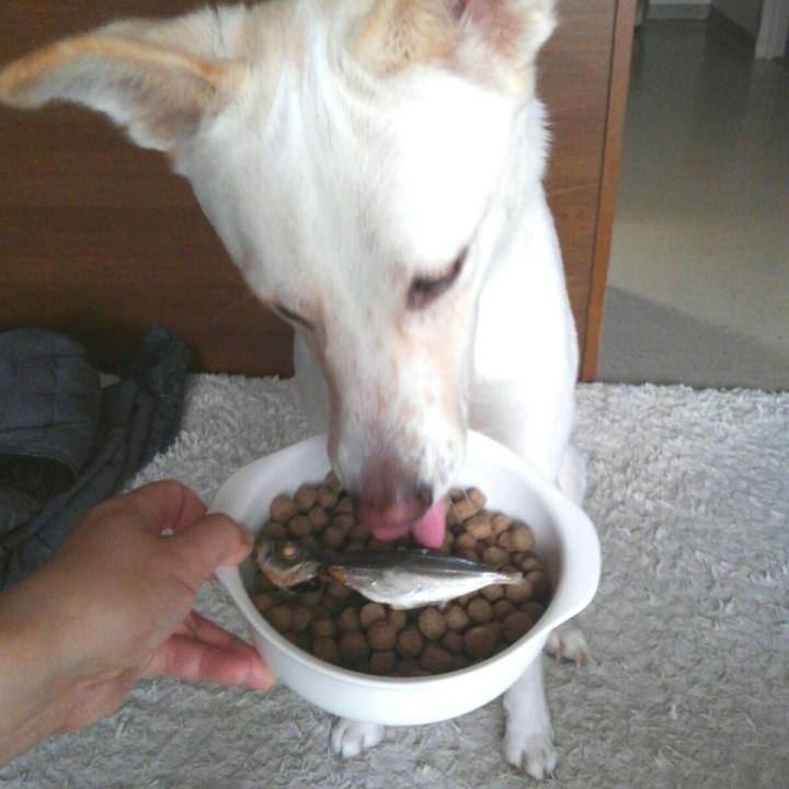 B8e7f934 9e4c 4f0a 8c88 b621f4dcbf95