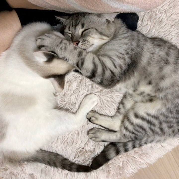 B8e8354a 77c2 426e b17a 47a6e9d2bfd9