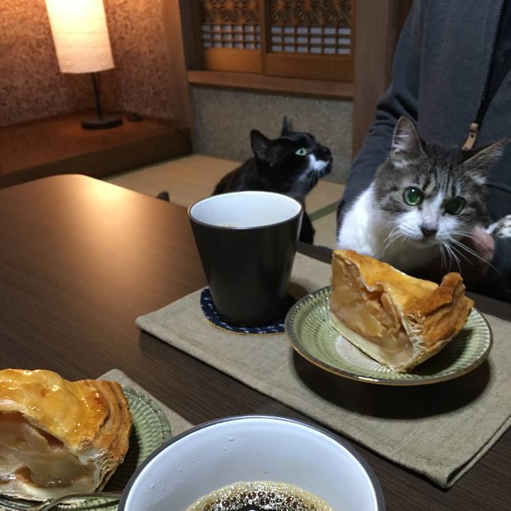 B8e8d0c9 d734 4e7f b47a c38c3dfbfbb9