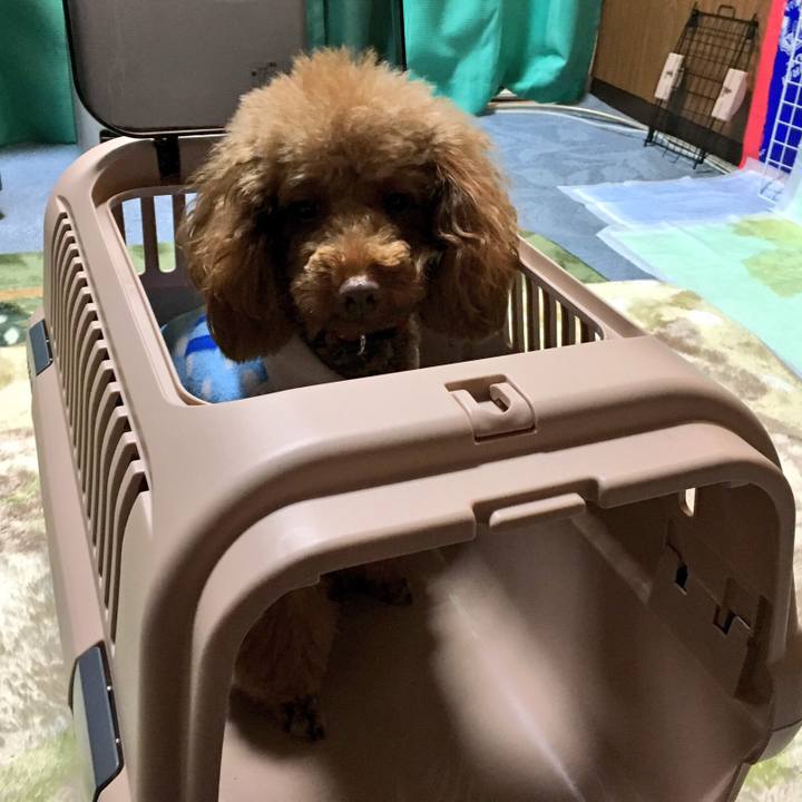 B8e8e612 d71e 4569 83ea 4681eafc42f4