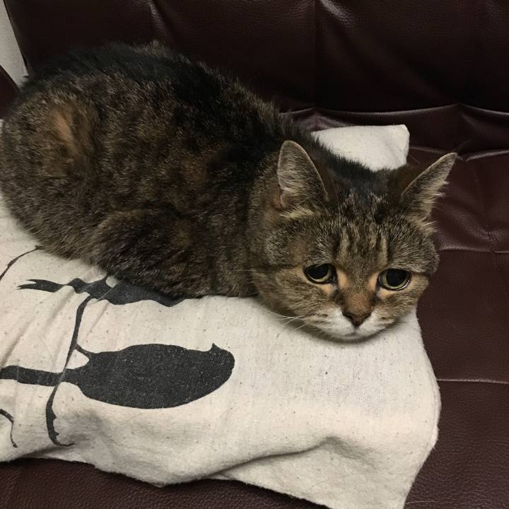 B8e954b2 2dd2 4f03 b1fd bd299b5575a1