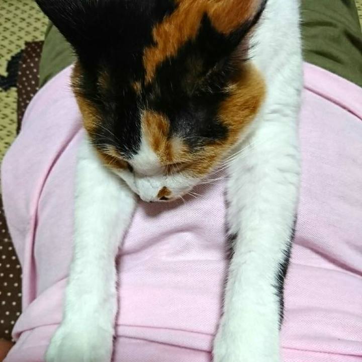 B8ea97bd 53a5 47dd b3c3 daaf7ceda9e3