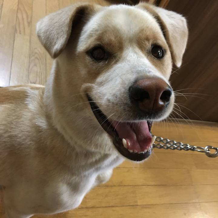 B8ea9ad8 b4a5 4b9e a409 5b283fc362ce