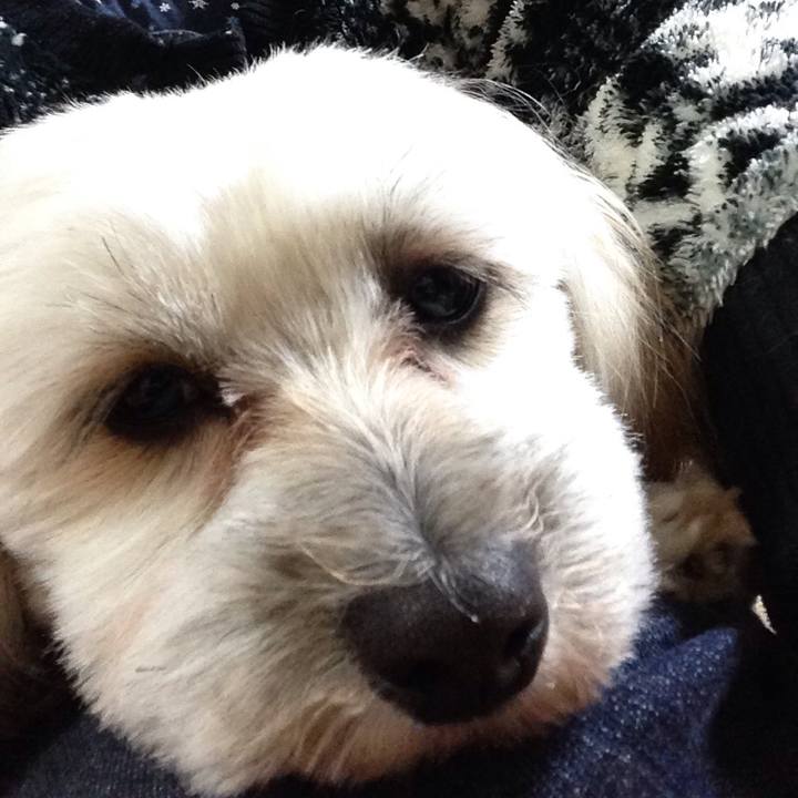 B8ec13ab fbe9 415d 9858 50860403068f