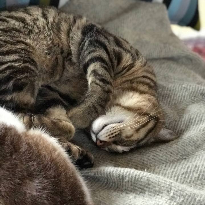 B8ec18c2 1520 42dd 8e98 bdd3409089de