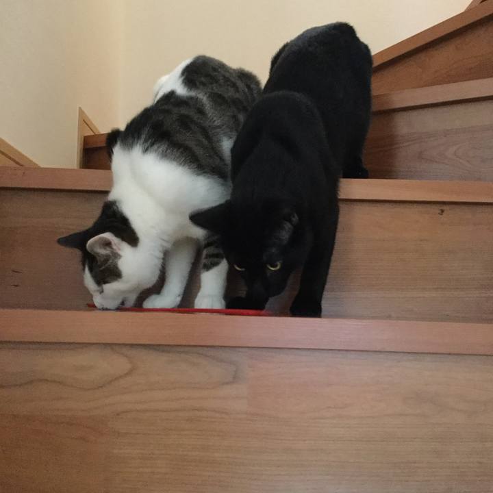 B8ec321b f27e 4f96 9572 1a0962c89c94