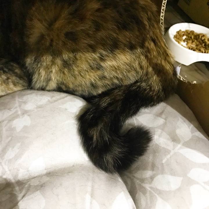 B8ec5145 c22d 46a4 ac91 643ac29516ad