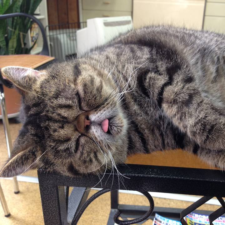 B8eebeac 373f 423d 8780 21c94bd6a59e