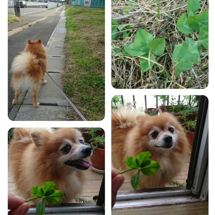 B8eec476 648d 4bfb a333 c1d54a92196c