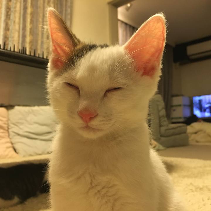 B8ef22a4 71e5 4354 86d5 d5abd6402bec