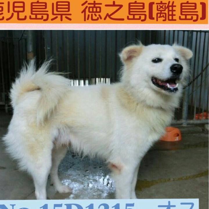 B8efad07 dc20 452f ac79 9ac8f973ebe3