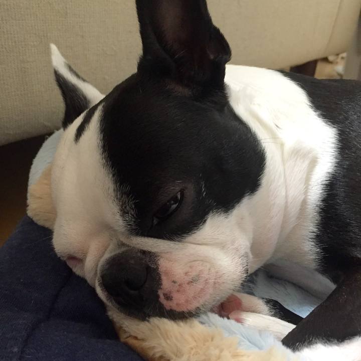 B8efb5b4 216c 4aee 9786 fa15e8531928