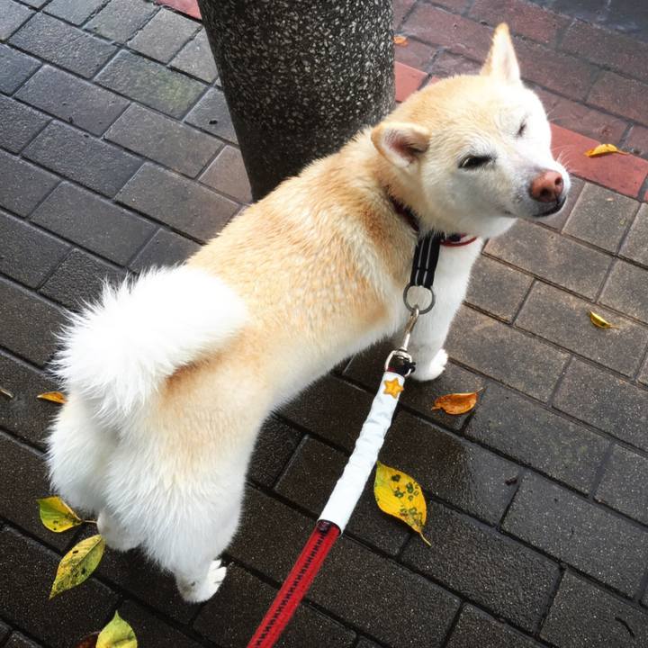 B8f08ea9 a177 4502 8bb1 f4ae08fc7a25