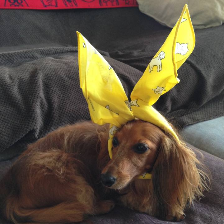 B8f16ae7 d80e 4645 adb0 f8c1865b9760